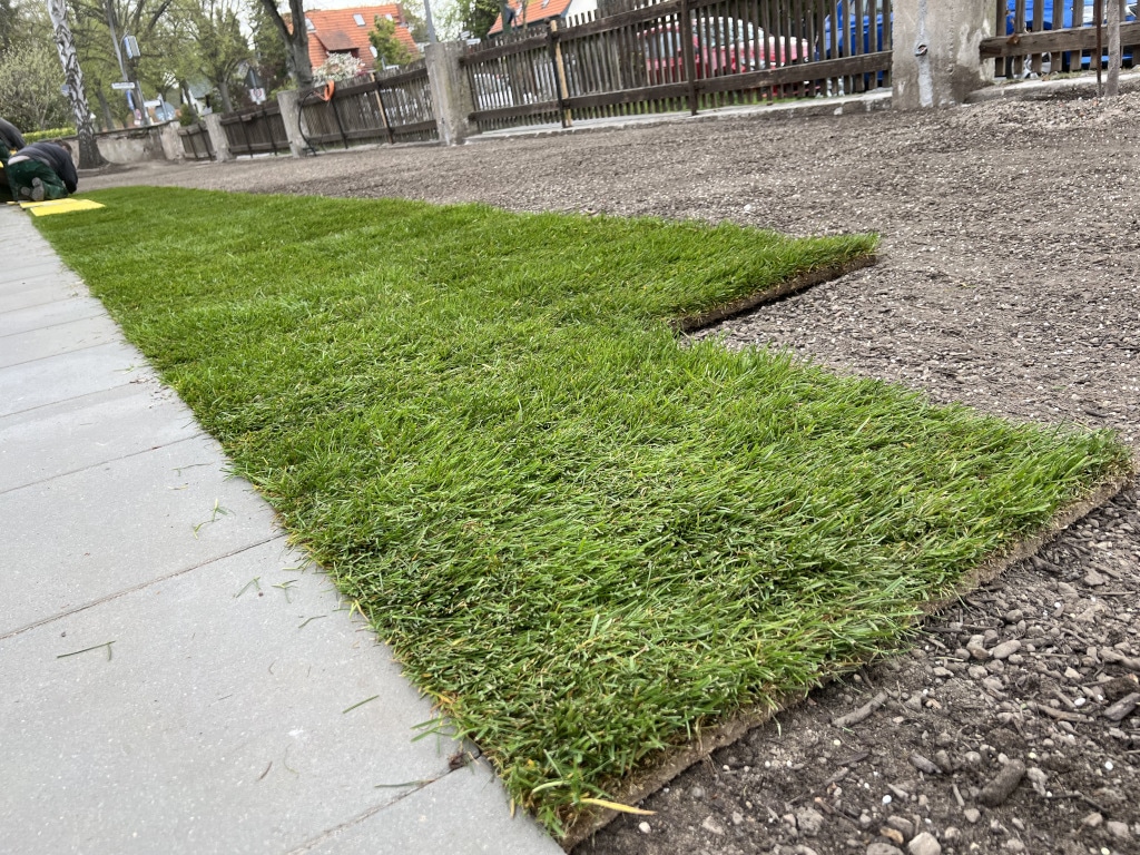 GPS Berlin bietet professionelles Verlegen von Rollrasen.