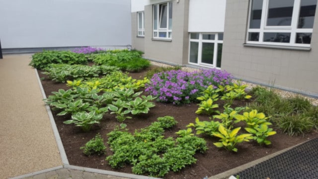 Fertigstellungspflege Berlin & Brandenburg | GPS Berlin - Gartenpflege & Rasenpflege