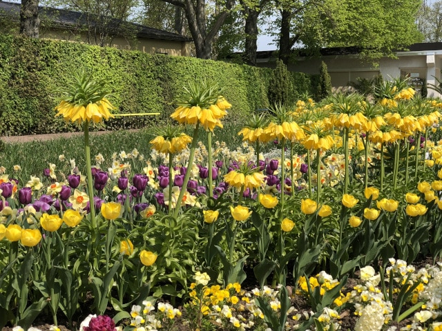Effiziente Gartenbew&auml;sserung in Berlin | GPS Berlin