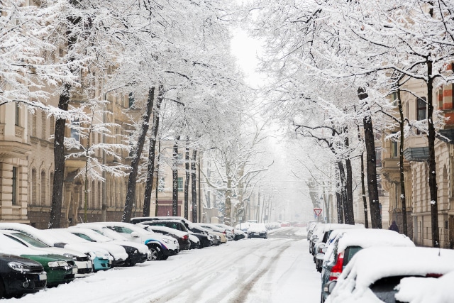 Optimierte Winterdienste mit Trackfox: Echtzeit-GPS-Tracking, Tourenverwaltung und Kommunikation f&uuml;r eine effiziente Auftragsabwicklung.