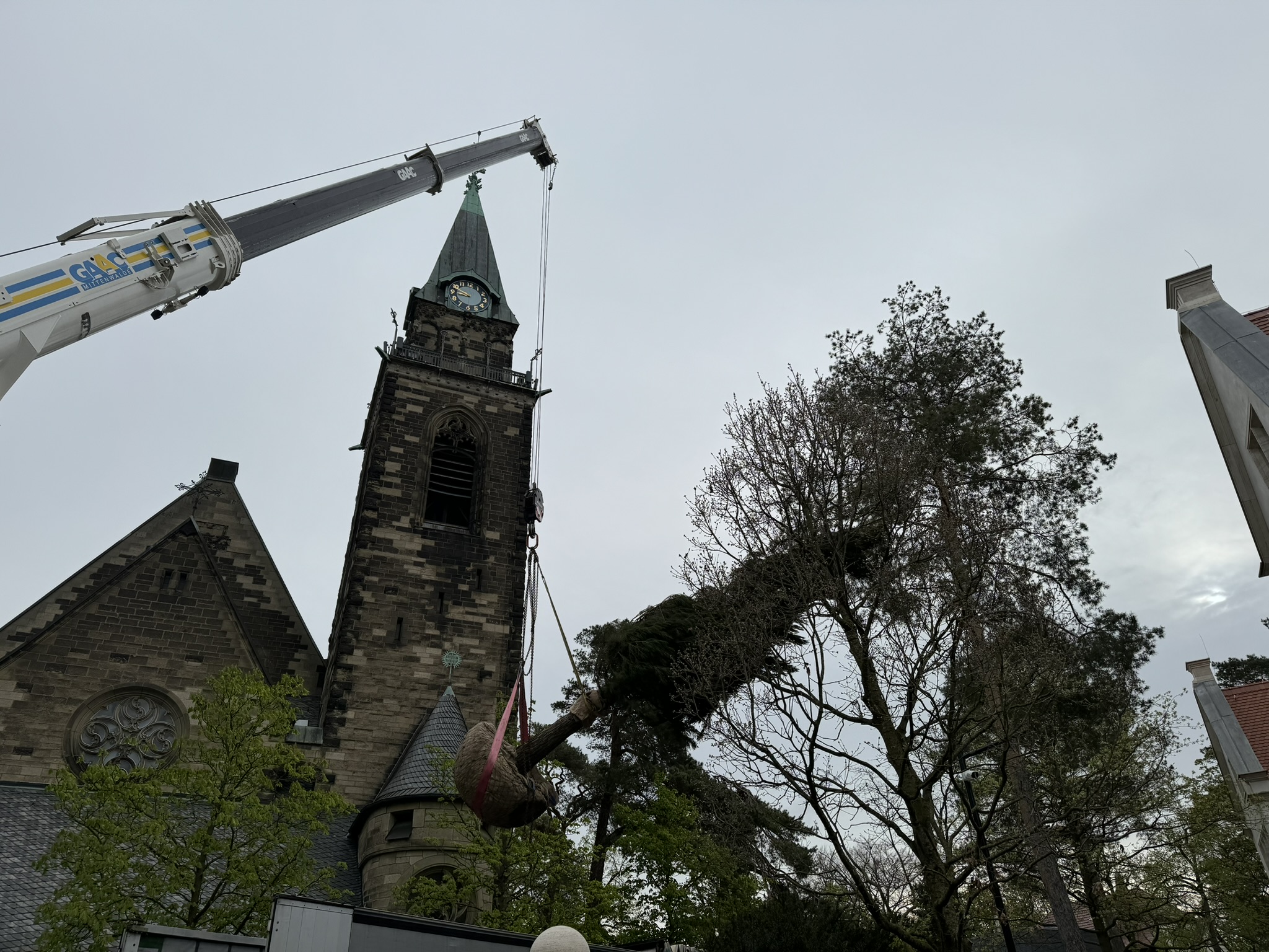 Gartengestaltung, Baum, Gro&szlig;baumverpflanzung, Garten, Au&szlig;enanlage, B&auml;ume