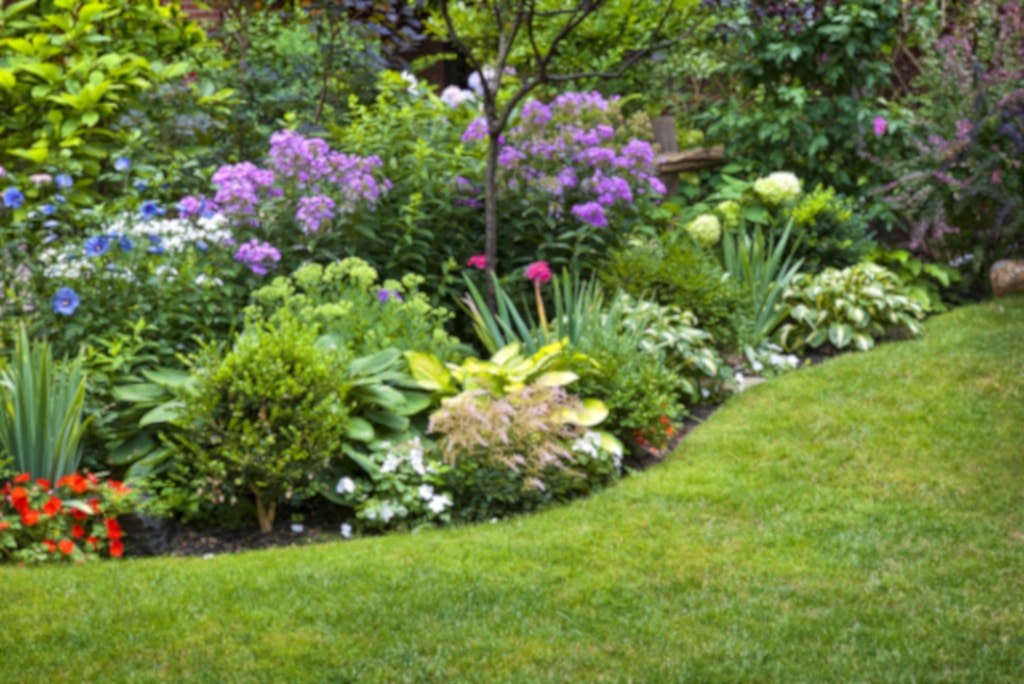 GPS Berlin | Baumdienst & Gartenbau, Gartenbewässerung