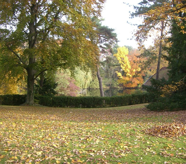 Parkanlage mit Laubbäumen und Hecken im Herbst