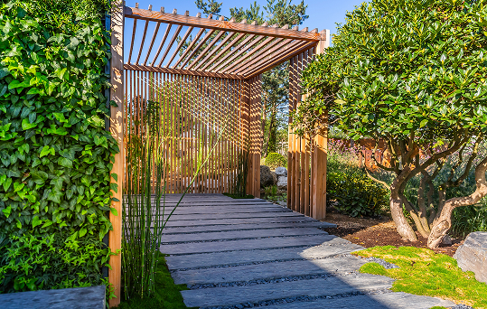 Gartenweg mit Holzpergola und begrünter Wand