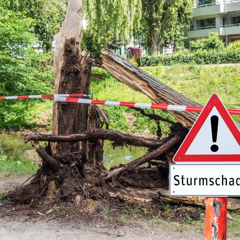 Sturmschaden an einem Baum mit Absperrband und Warnschild