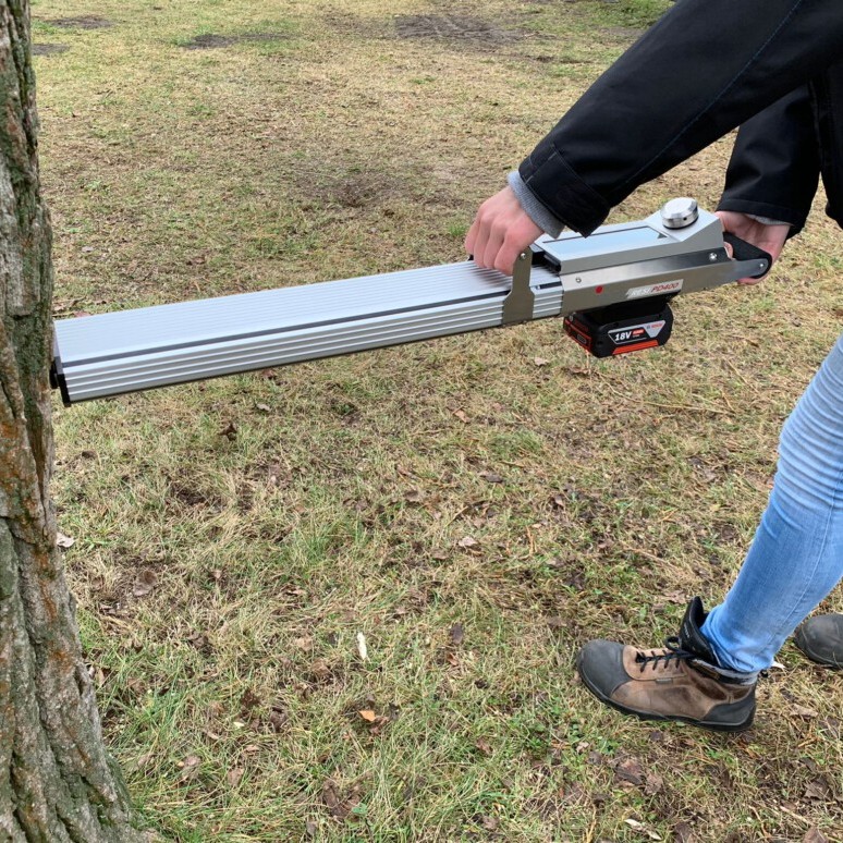 Baumgutachten – Dokumentation des Baumzustands