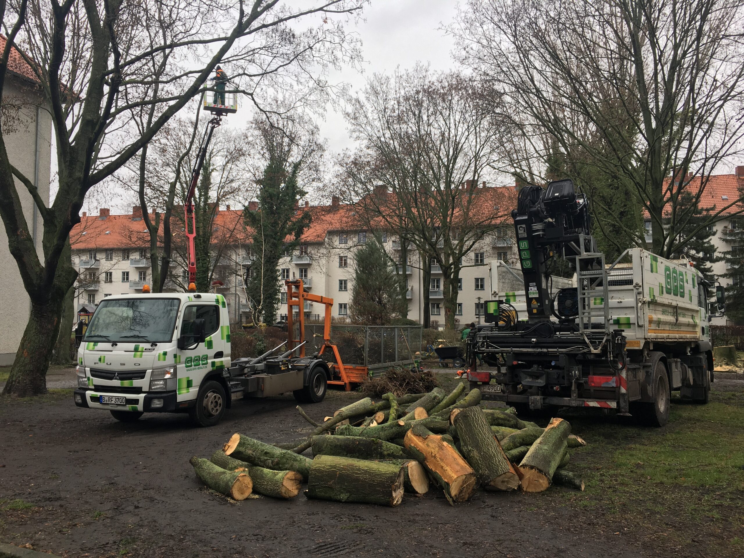 GPS-Lkw mit Ladekran beim Abtransport von Baumstämmen