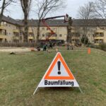 Warnschild „Baumfällung“ auf einer Rasenfläche vor Wohnhäusern