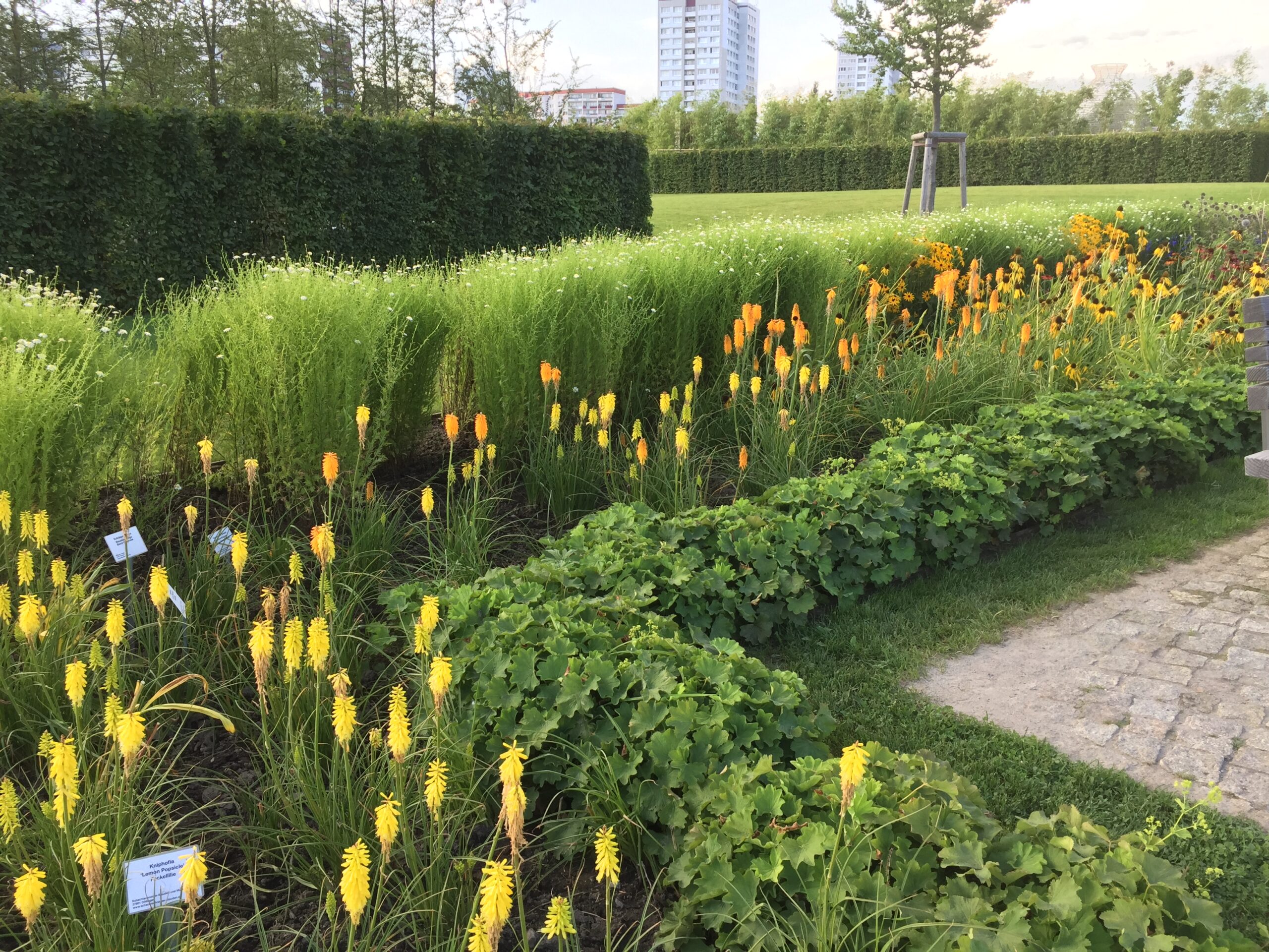 Gartenlandschaftsbau Berlin GPS Pflanzen und Hecken