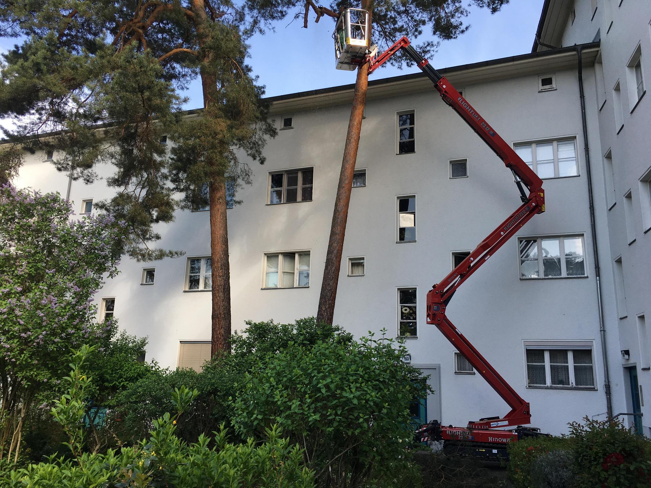 Baumarbeiten mit einer kompakten Hubarbeitsbühne im Garten neben einem Wohngebäude
