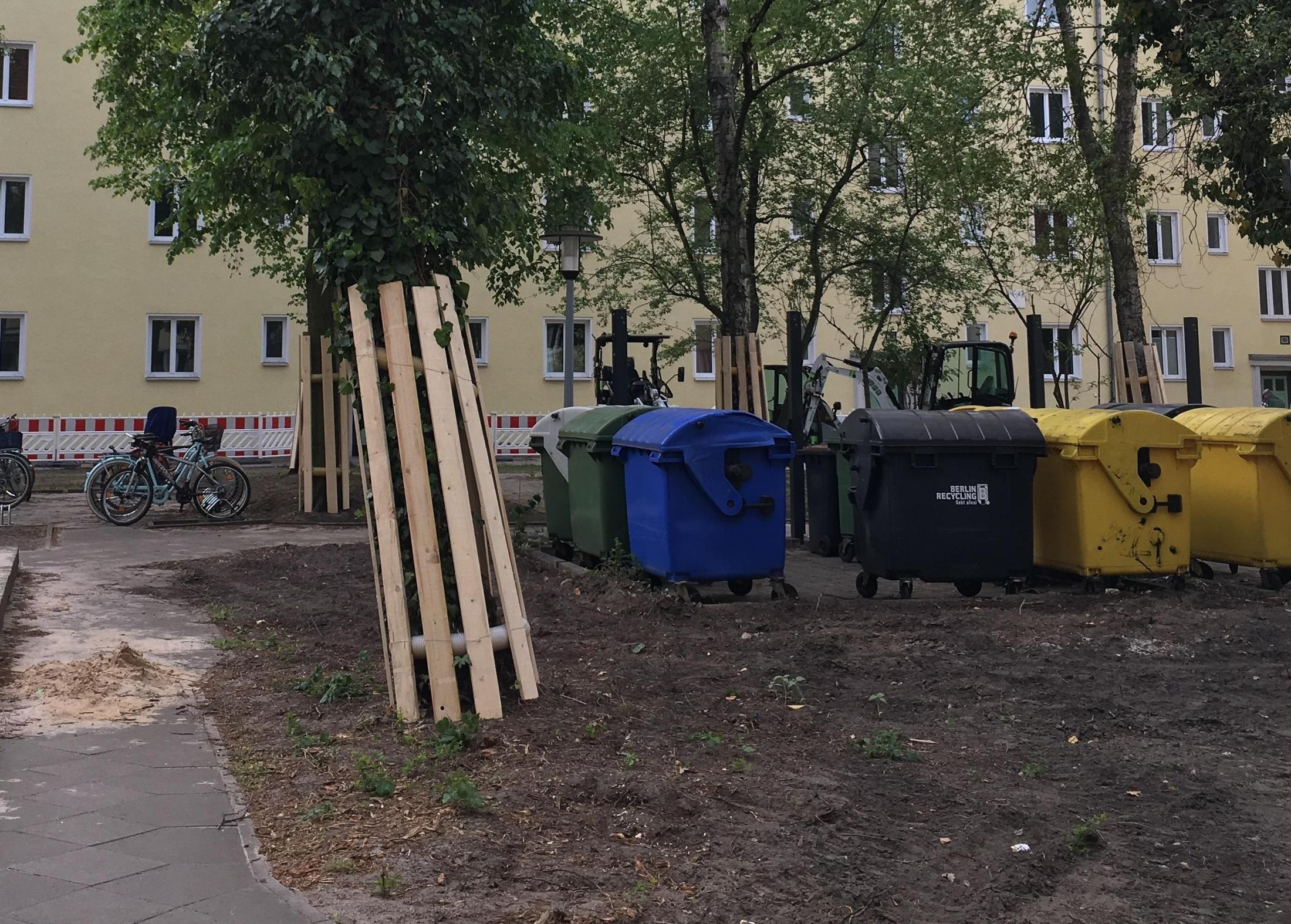 Baumschutz an Bestandsbäumen in einer Berliner Wohnanlage