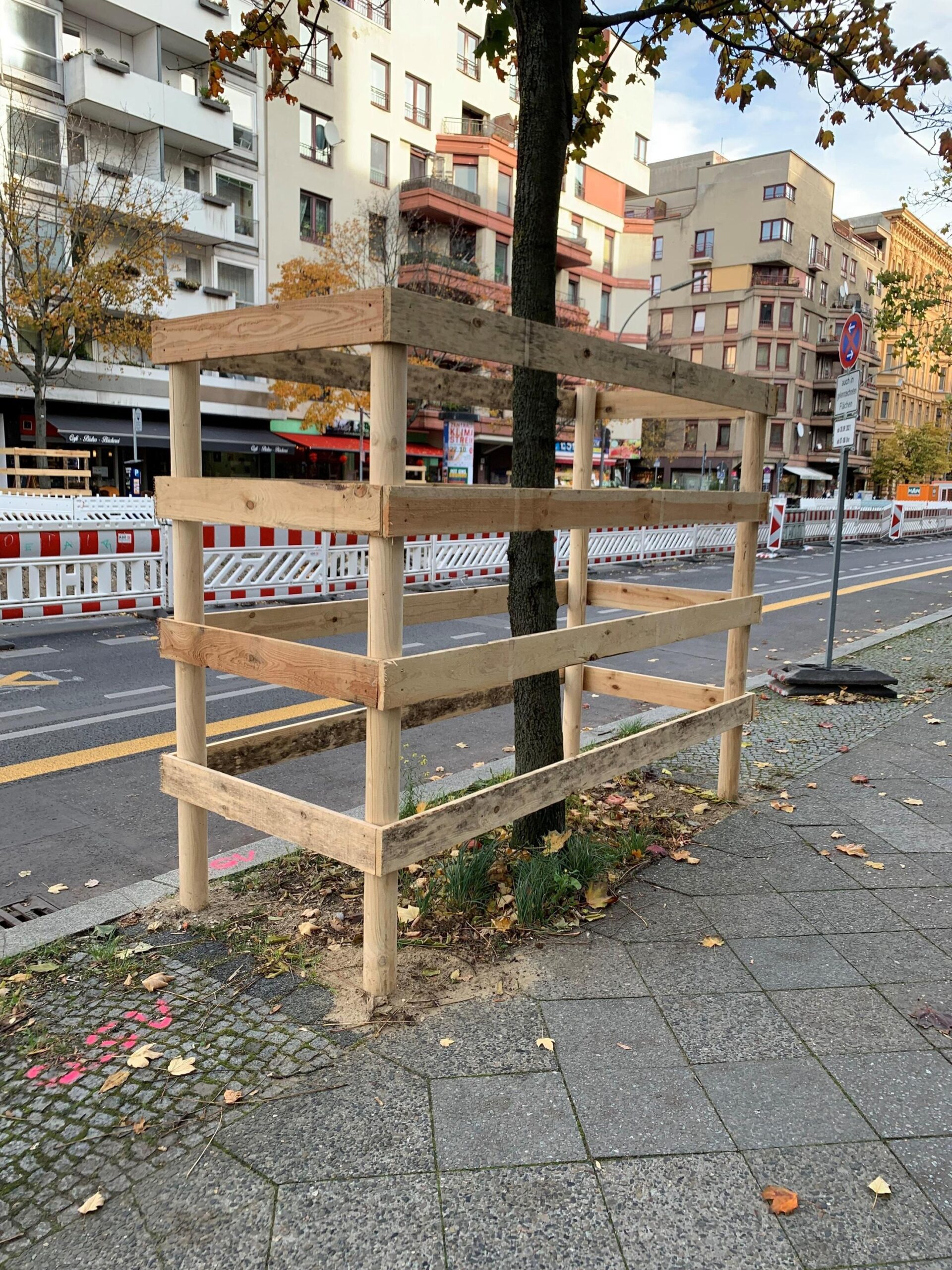 Junger Straßenbaum in Berlin mit hölzernem Schutzgerüst