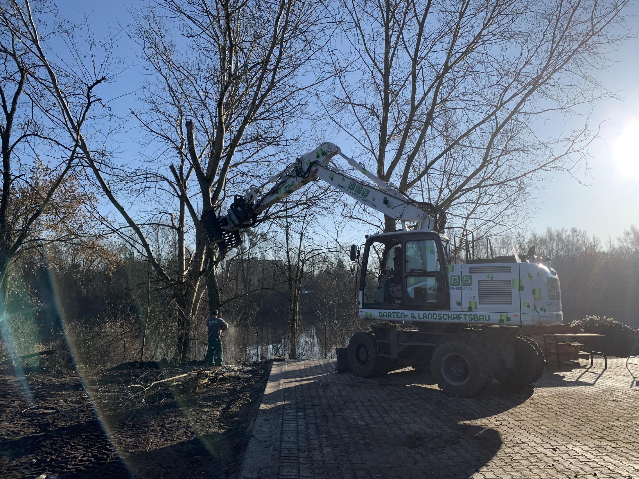 Maschineneinsatz bei der Wurzelstockentfernung in Berlin