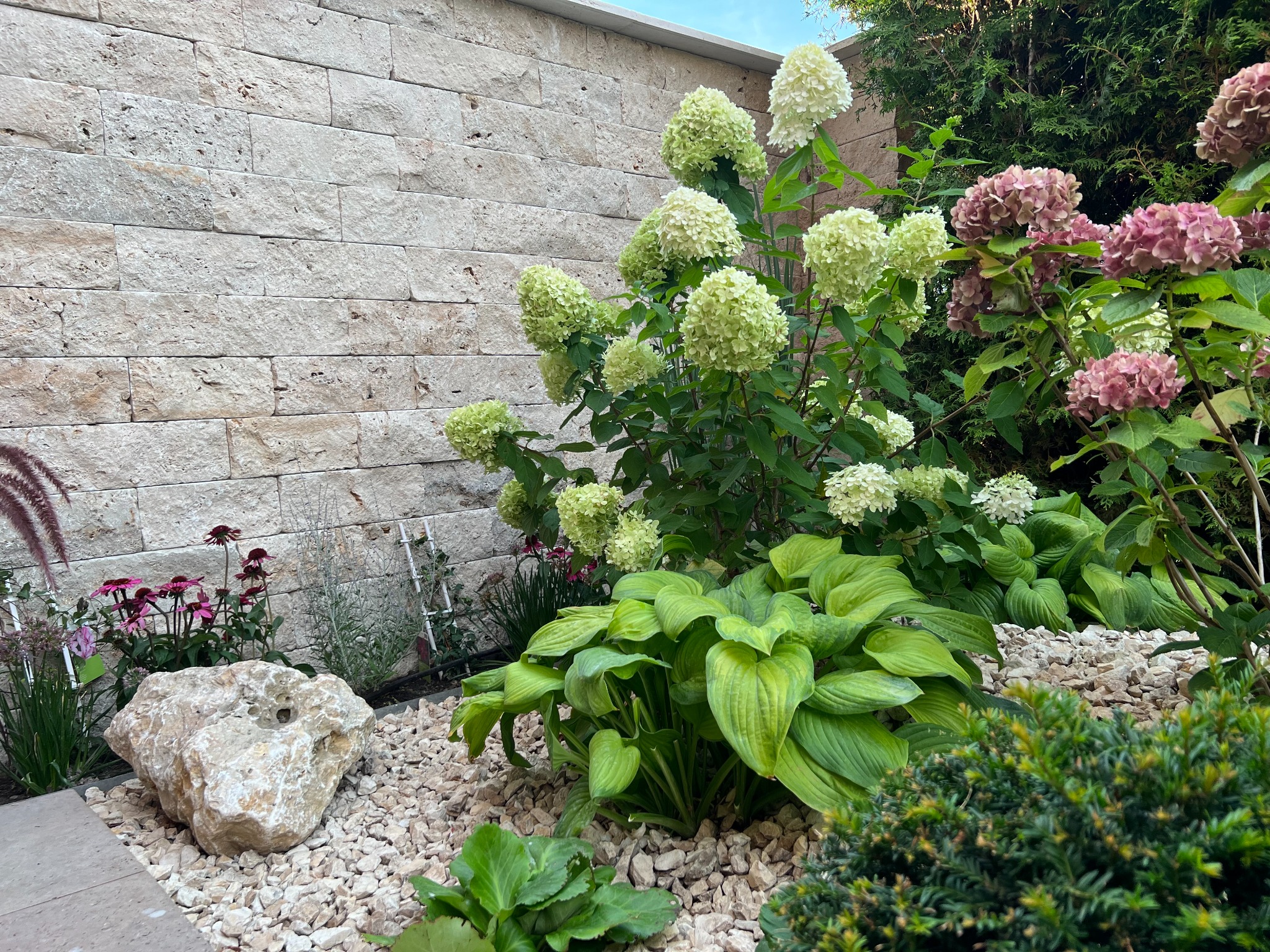 Hortensien, Funkien und Stauden vor einer hellen Natursteinmauer im Garten