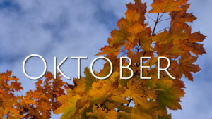 Ahornlaub in leuchtenden Herbstfarben – Oktober